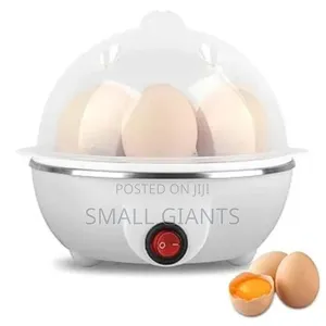 Multifunction Mini Egg Boiler