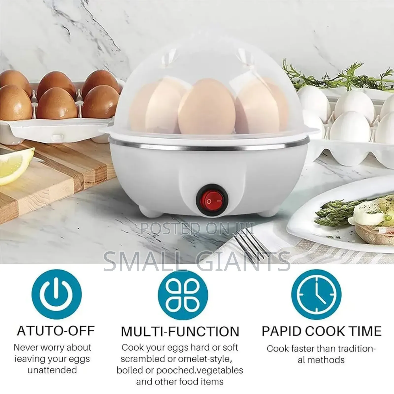 Multifunction Mini Egg Boiler