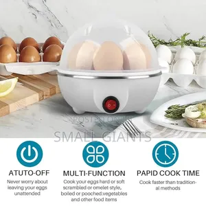 Multifunction Mini Egg Boiler