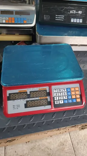 30kg/40kg  Scale Price Computing Scale Food Meat Fruit Weight Scale