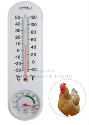 Brooder Thermometer