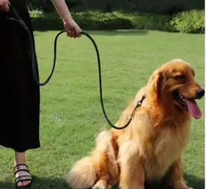 Reflective Dog Leash With Soft Handles