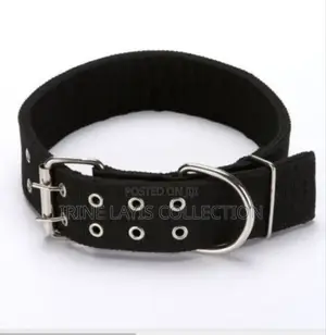 Durable Adjustable Dog Collars