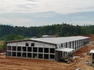 300,000 Layer Chicken Houses With H-Type Fully Automated System