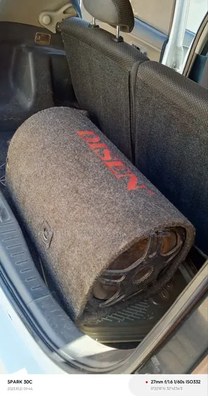 Car Subhoofer Disen