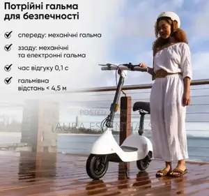 Ceetle Pro Electric Scooter
