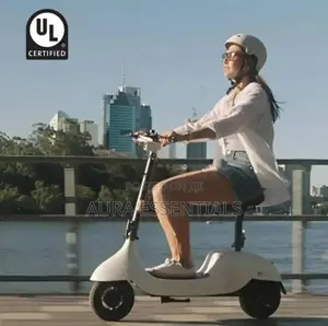 Ceetle Pro Electric Scooter