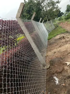 Chain Link Gauge 10 ( 7 Feet )