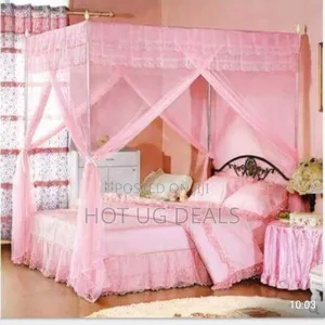 4*6 Mosquito Net With Stands - Pink