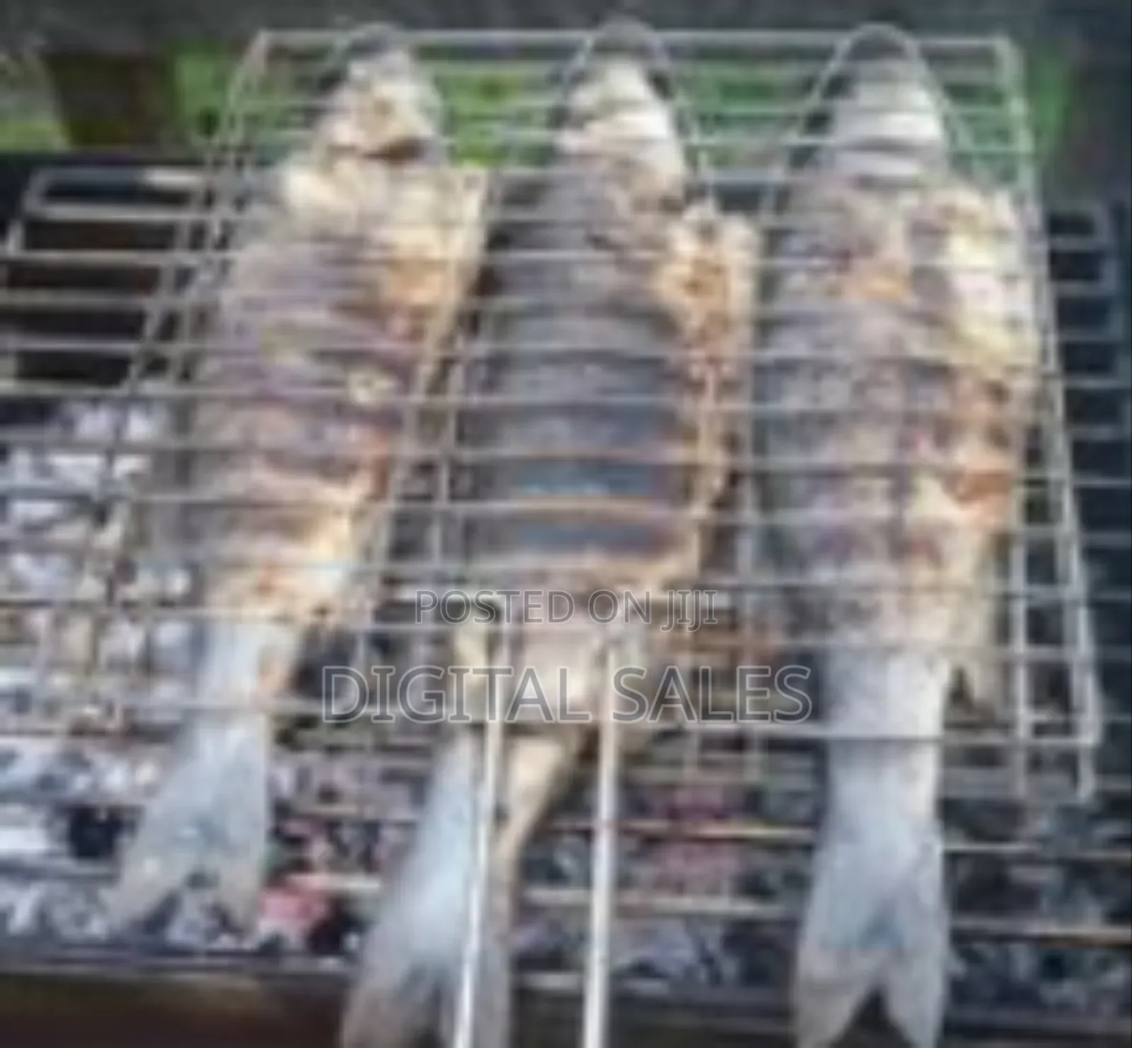 3 Section BBQ Barbeque Fish Charcoal Grill Net Basket