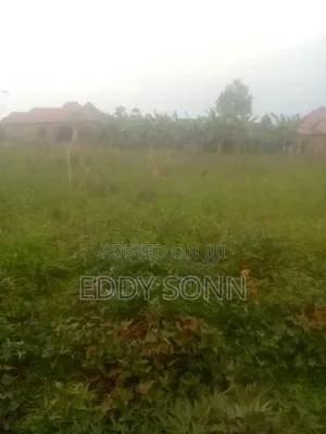 Land Plots for Sale