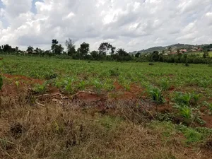 12 Acres for Sale in Wakiso