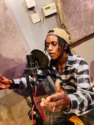 Artist/Song Writer