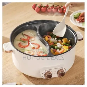 Electric Partioned Cooker Hot Pot