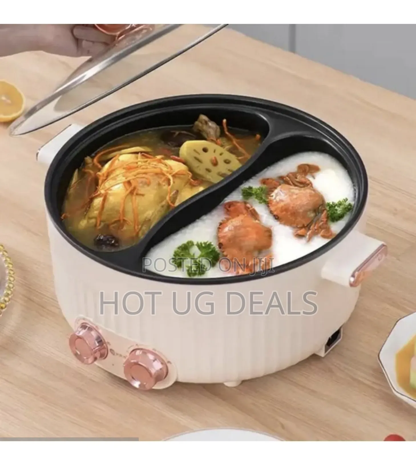 Electric Partioned Cooker Hot Pot
