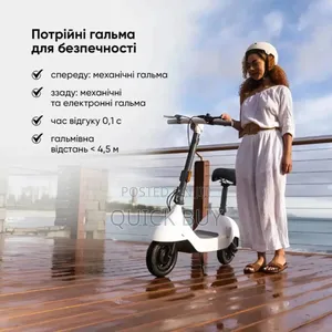 Ceetle Pro Electric Scooter