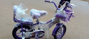 Purple Bike