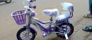 Purple Bike