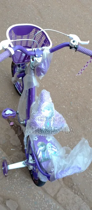 Purple Bike