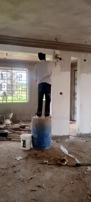 Surplus Painters
