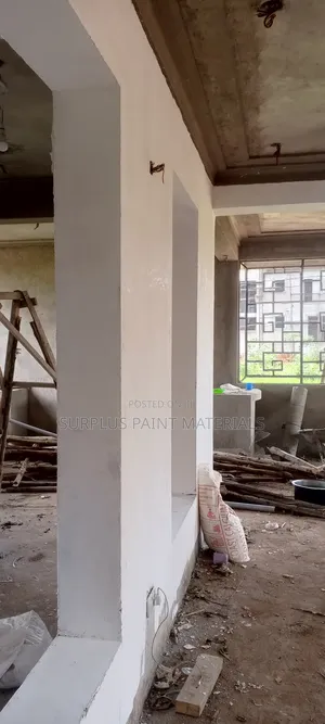 Surplus Painters