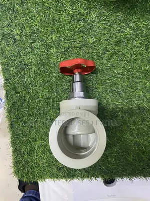 Gate Valve 2” Era