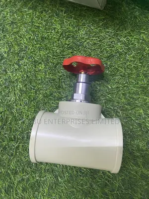 Gate Valve 2” Era