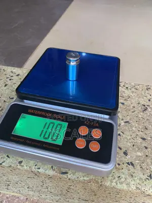 Chicken Weighing Scale for Kitchen 10kg Home Digital Weighing Scale