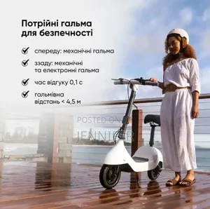 Ceetle Pro Electric Scooter