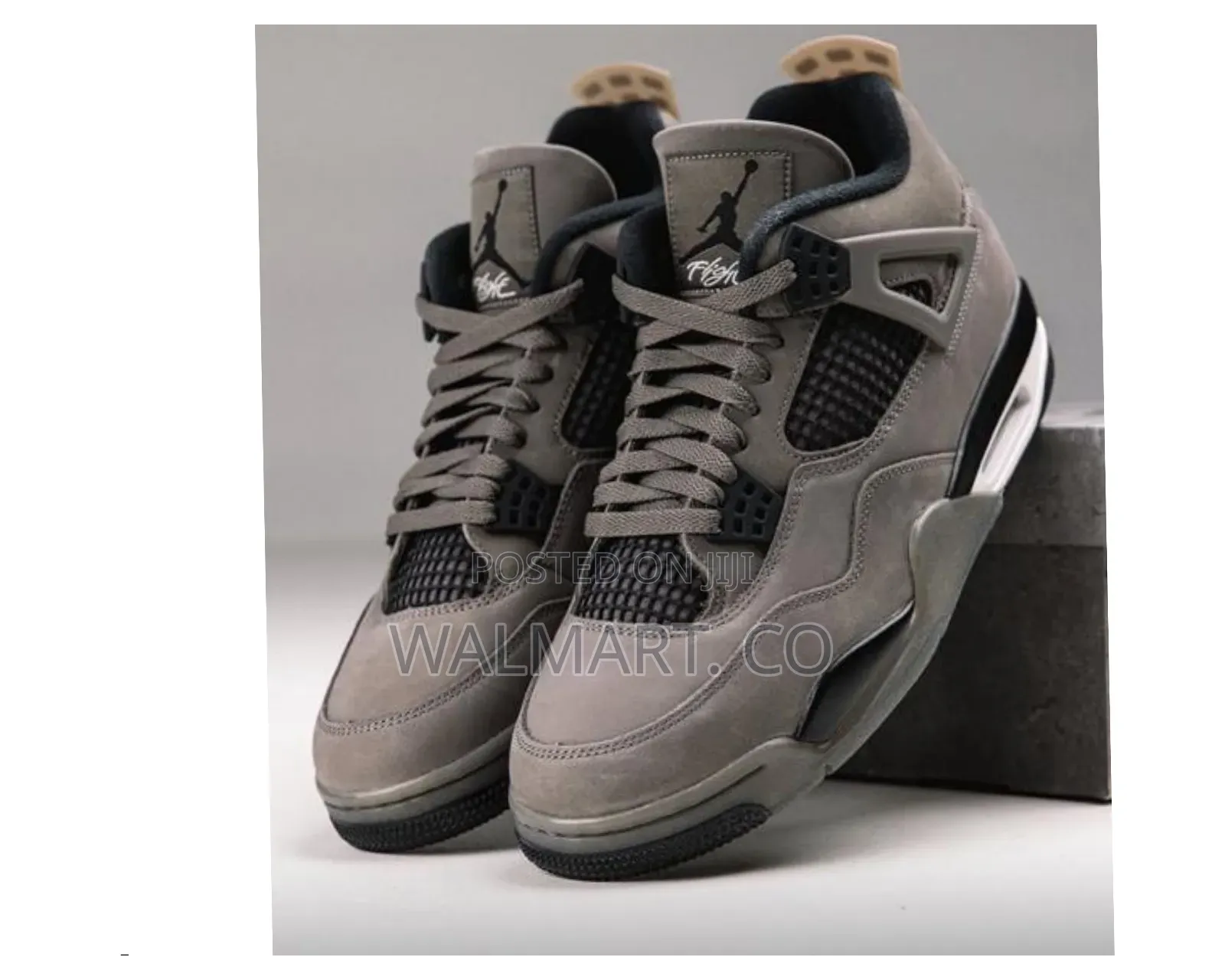 Air Jordan 4 Sneaker Shoes