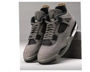 Air Jordan 4 Sneaker Shoes