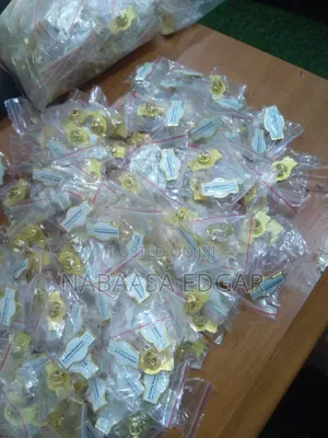 Badges and Lapel Pins