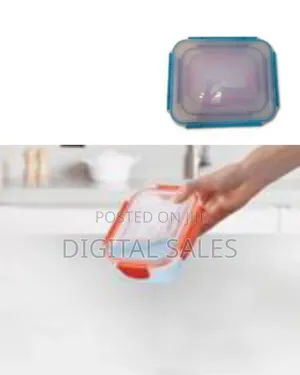 4 Piece Rainbow Color Food Storage Containers