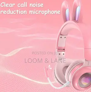 Rabbit Ear Wireless Headphones – Luminous Fun With Adjustable