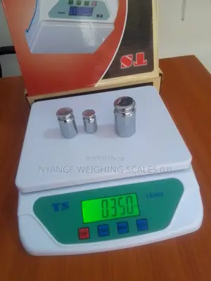 Master 30kg Weigh Kitchen Weighing Scale Food Digital Weighing Scale