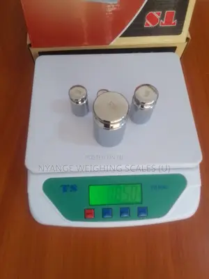 Large Capacity 30kg /1g Weigh Portable Weighing Scale Food Weigh Scale