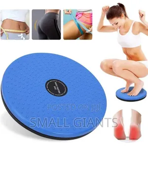 2 In1 Body Shaping Disc and Foot Massager