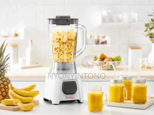 Moulinex 2 In 1 Blender With Grinder Lm2b2127