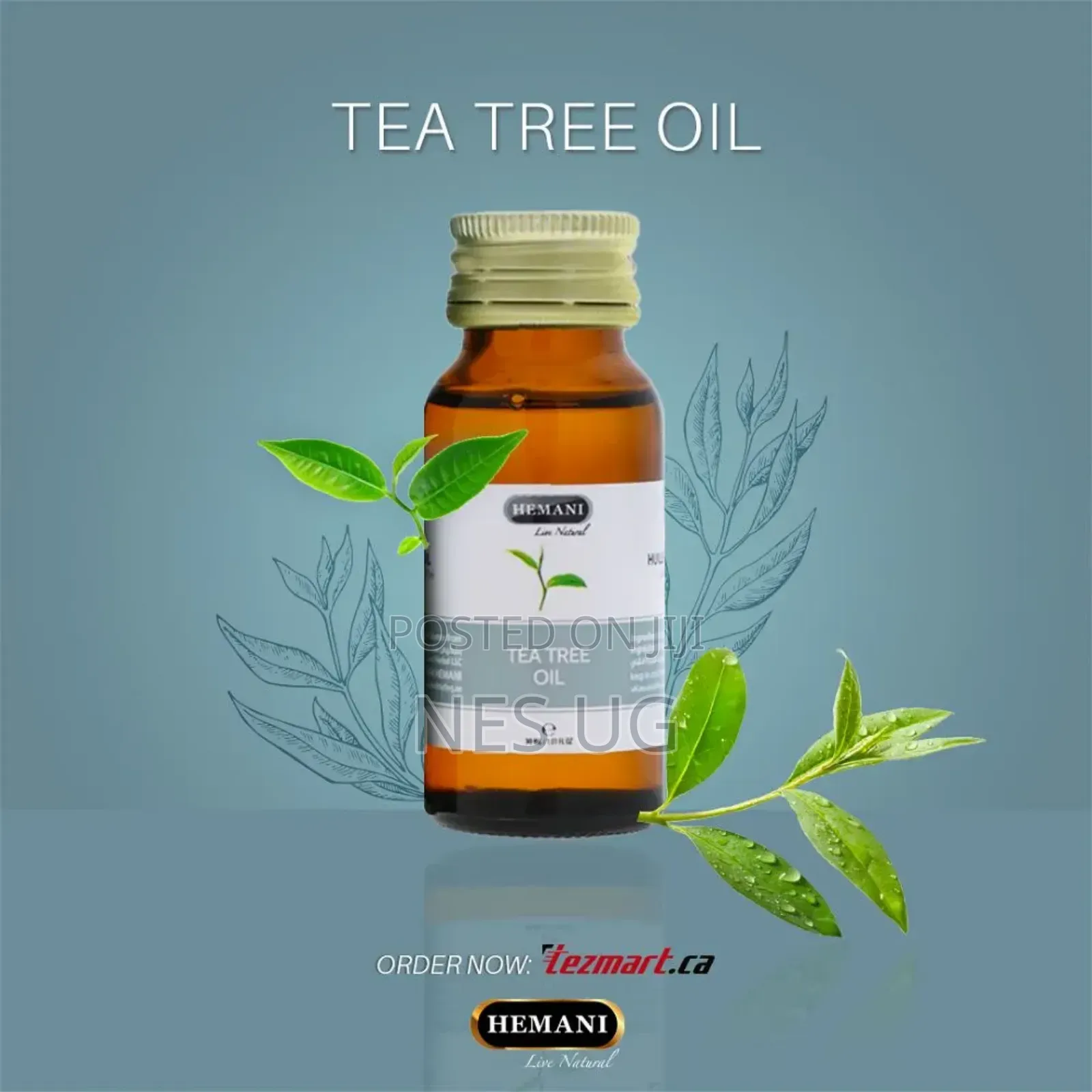 Hemani Essential Tea Tree Oil For Stopping Acnes And Pimples - 30ml