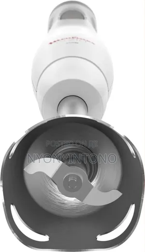Moulinex 450w Multifunctional Hand Blender Dd451127