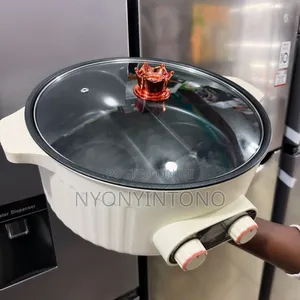 Double Cooking Electric Hot Pot / Multi-Cooker