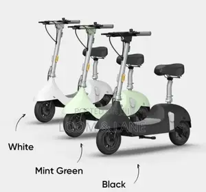 Ceetle Pro Electric Scooter