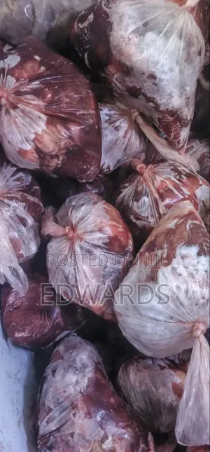 Fresh Dog Meat 241025