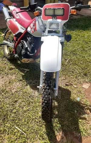 Honda 1992 White