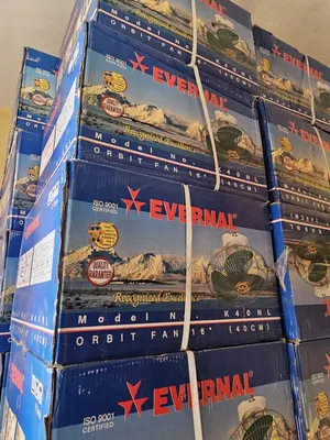 Evernal 16inches Orbit Ceiling Fans