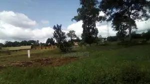 6 Acres For Sale In Njeru On Kayunga Road