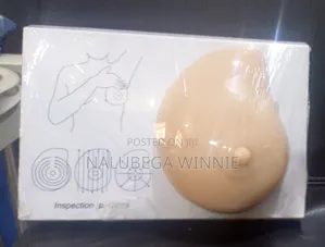 Soft Breast Model