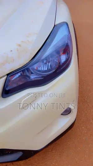 Car Head Lamp Stickers