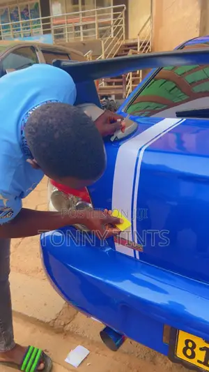 Car Body Stickers
