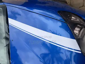 Car Body Stickers